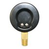 Pressure Gauge 15 PSI 2 Inch Diameter1/4 Inch NPT Bottom Mount