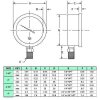 4" Oil Filled Vacuum Pressure Gauge - Stainless Steel Case, Brass, 1/4" NPT, Lower Mount Connection